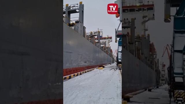 ТерминалМорскойРыбныйПорт запустил регулярное контейнерное сообщение с Юго-Восточной Азией #shorts