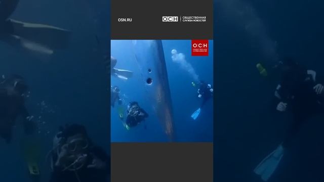 Возле Тайваня обнаружили предвестника «Судного дня» #shorts