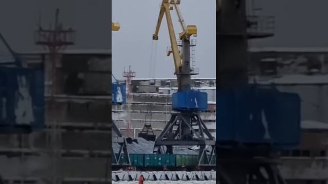 Порт Выборг: насыпные грузы в приоритете